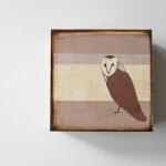 Barn Owl With Neutral Stri..